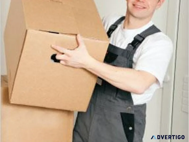MAN AND VAN HIRE INSURED QUALIFIED AND RELIABLE