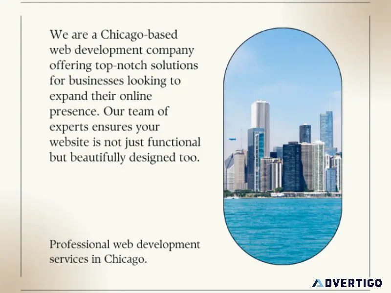 Web development company in chicago