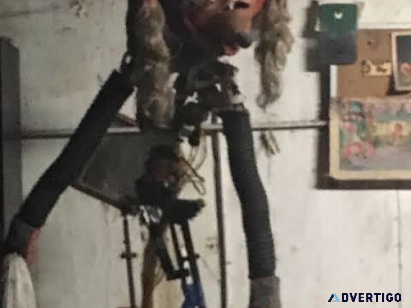 Anamatronic and robots wanted vintage any condition.