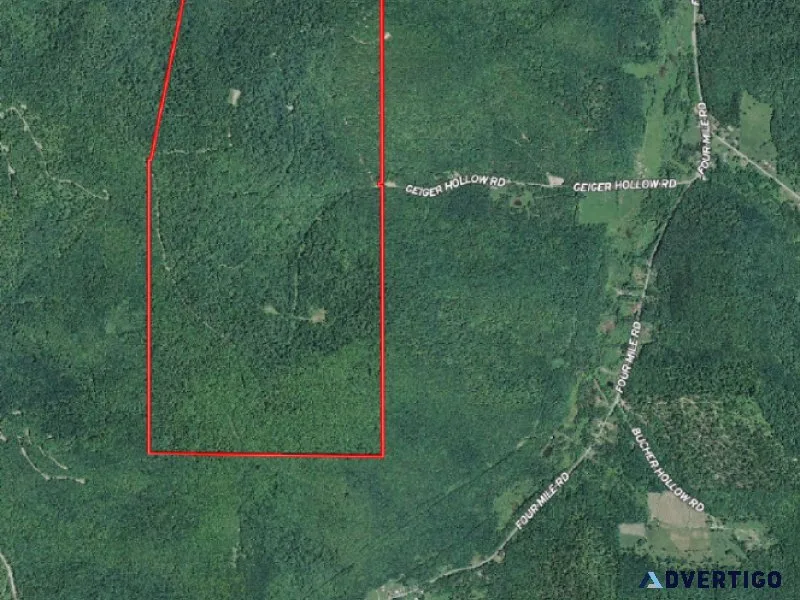 Hunting Lease - 709 Acres Cattaraugus County