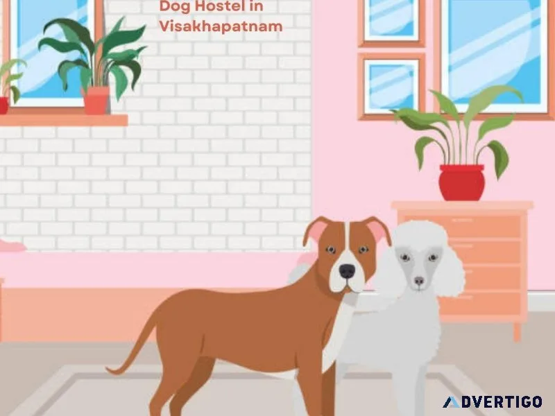 Affordable Dog Boarding Services in Visakhapatnam