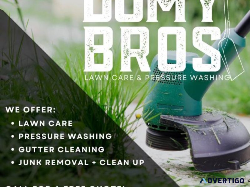 Domy bro pressure wash and lawn care LLC