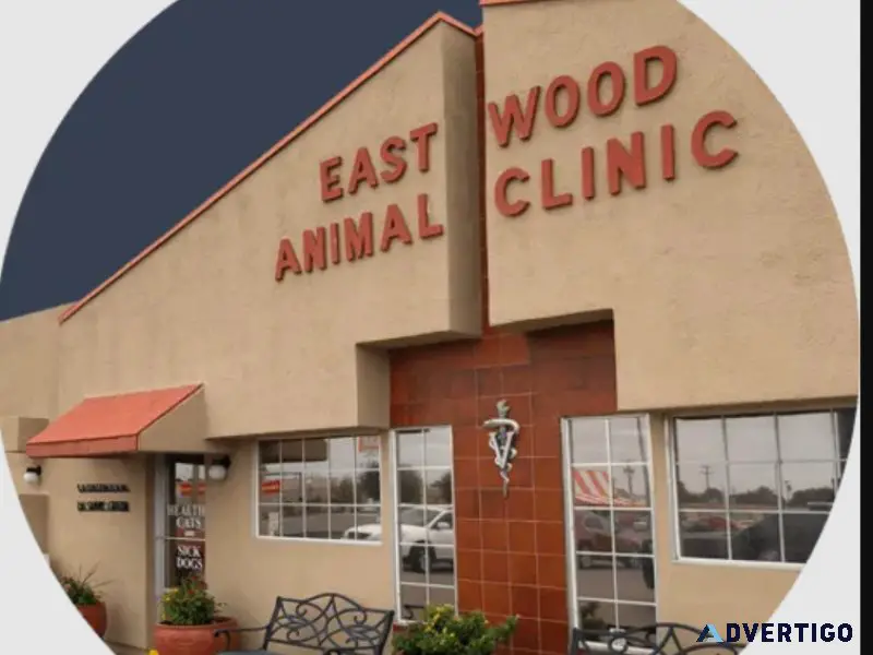 Choose The Best Animal Hospital in El Paso