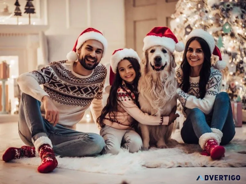 THE BEST PETS STORE IN CT