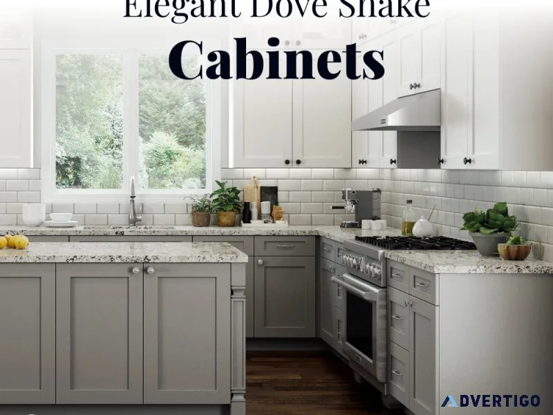 Elegant White Shaker Cabinets for Timeless Kitchen Design