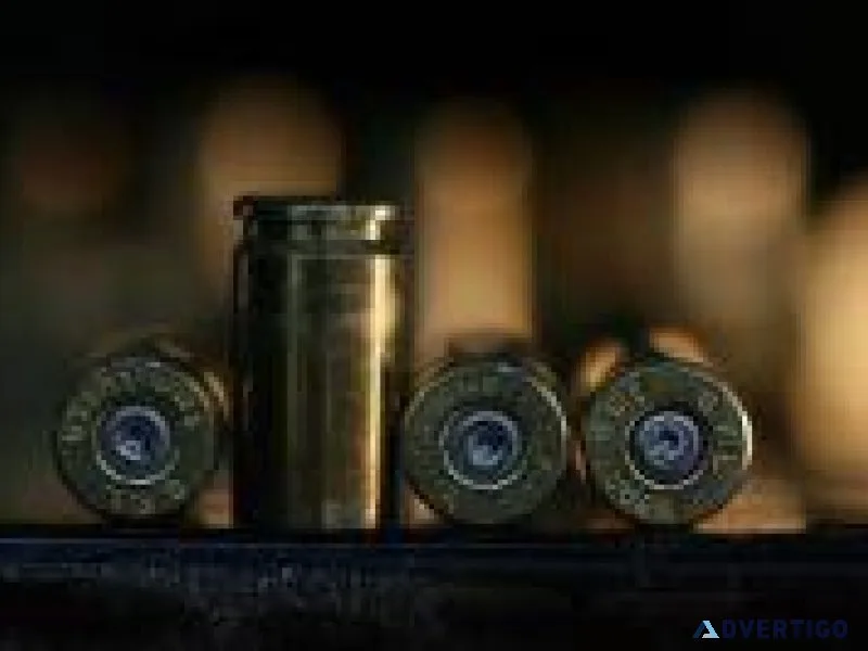 Rons Guns Inc.