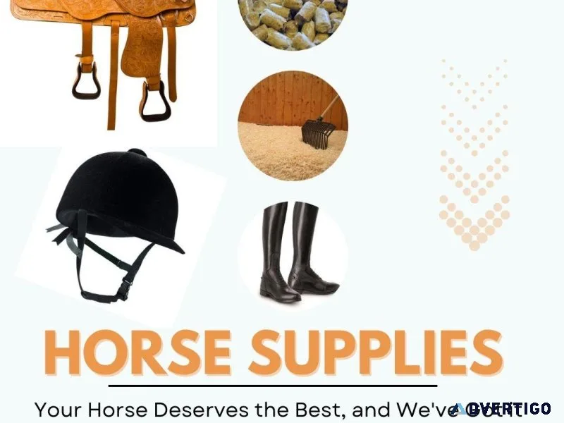 Horse Supplies in Laguna Beach