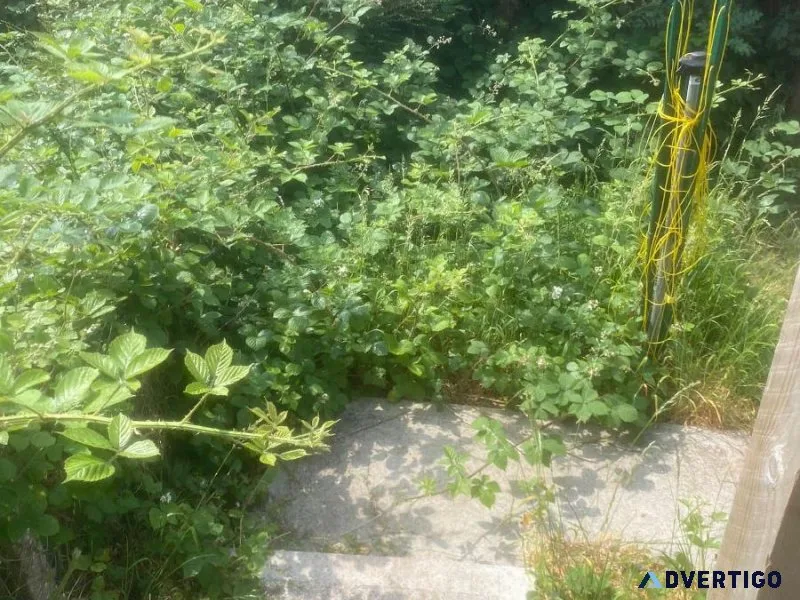 IJR property maintenance