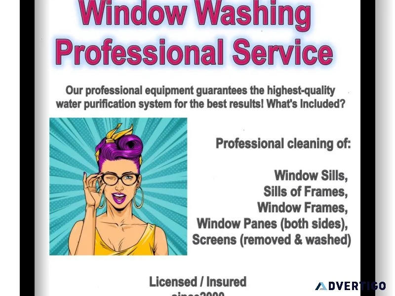 Professional Window Washing Service