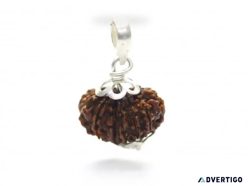 Get 13 mukhi rudraksha benefits online