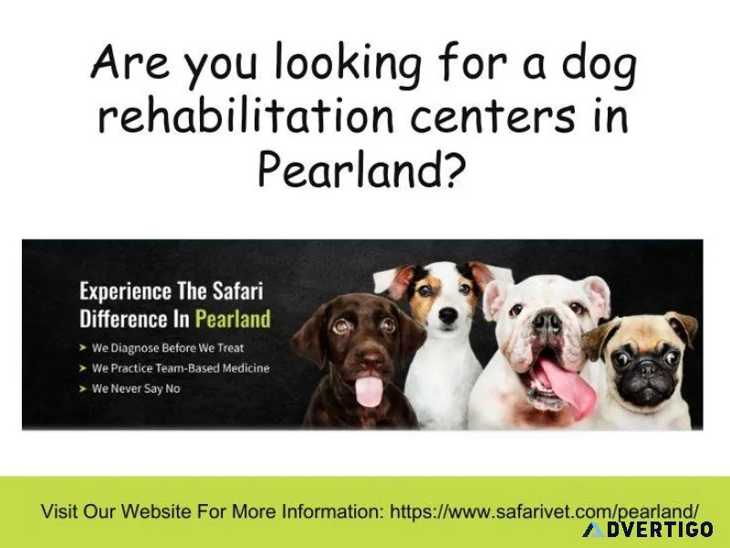 Are you looking for a dog rehabilitation centers in Pearland