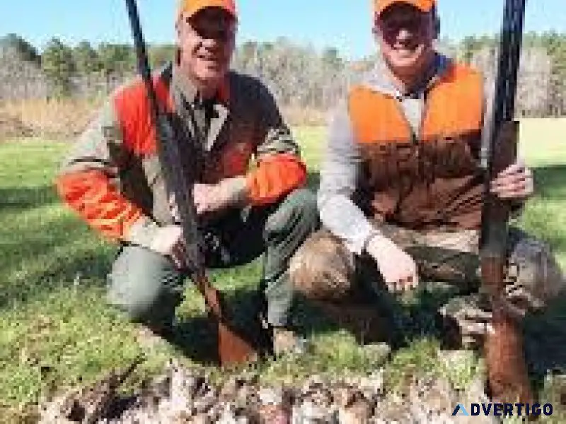 Find The Best Pheasant Shooting At Westervelt Lodge