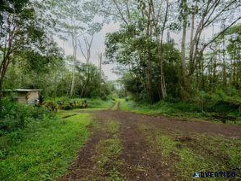 Small building lot in Pahoa