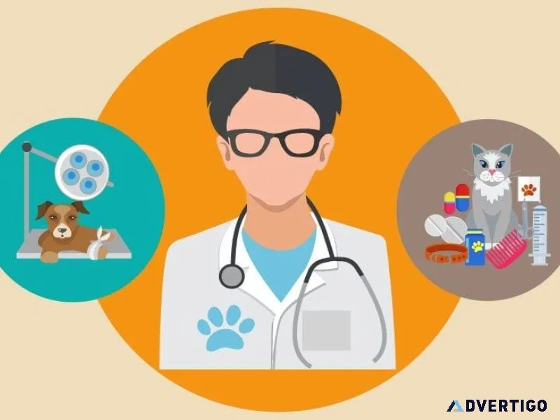Trusted Pet Clinics in Sector 137 Noida  Vet Land Pet Clinic