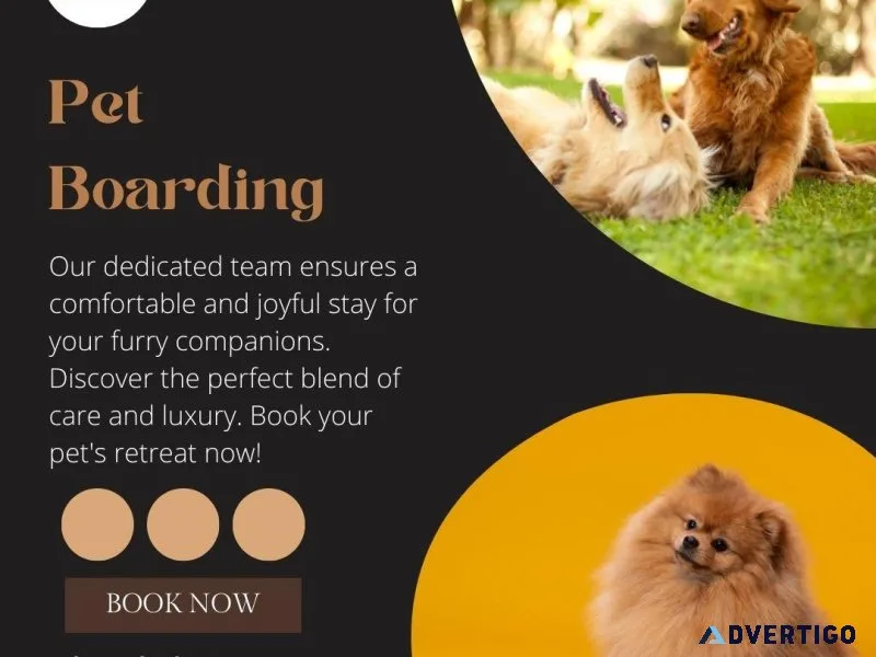 Exceptional Pet Boarding Services in Tacoma WA