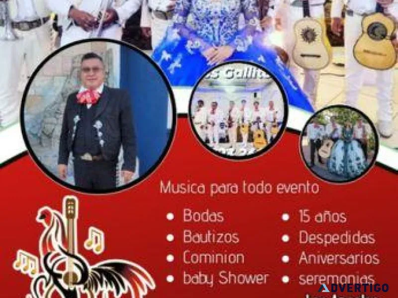 Mariachi Los Gallitos