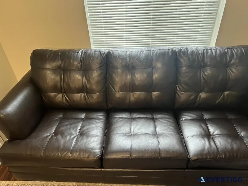 Leather Sleeper Sofa