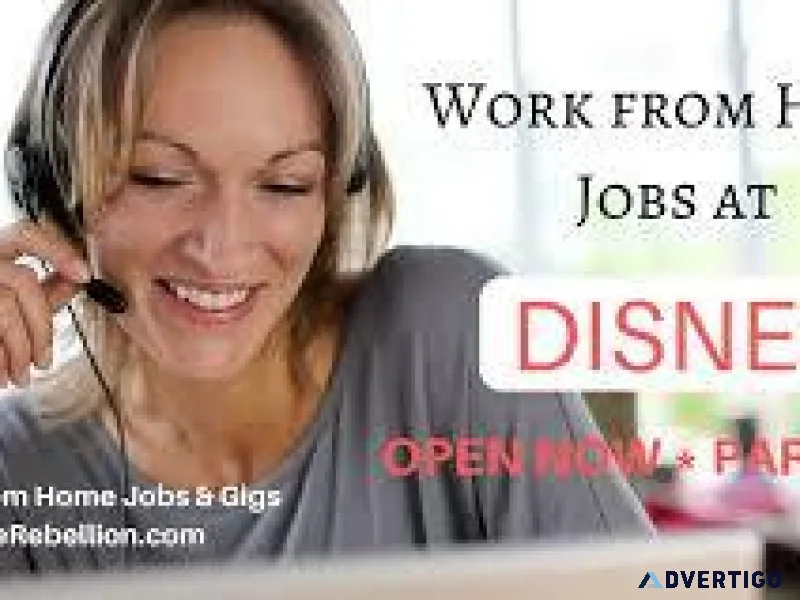 Work From Home Disney