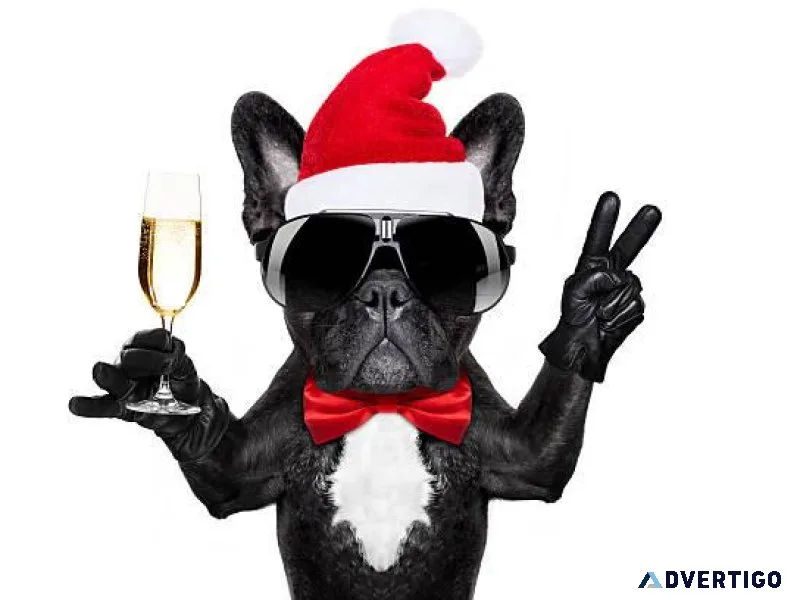 Secret Santa Lovers will Love this Site