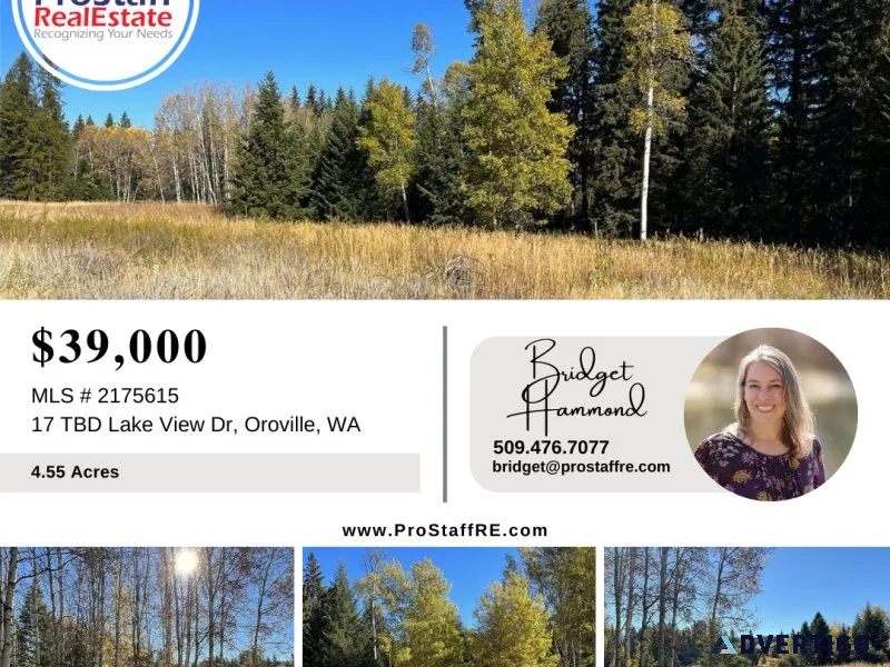 4&frac12 Acre Lot Near Chesaw