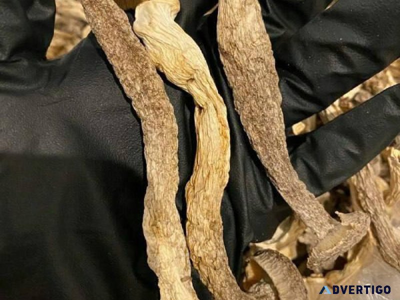 Black Tar Herione and weed strain pills mushroom