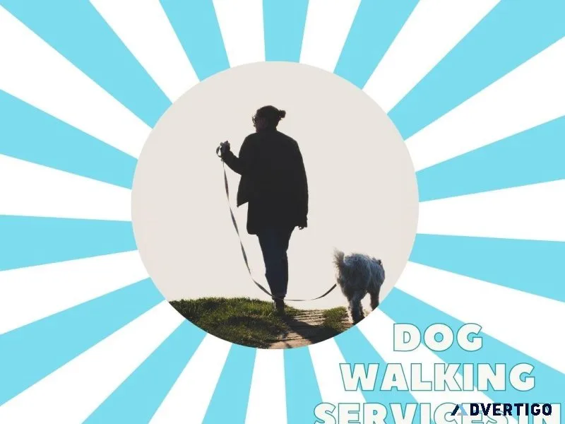 Expert Dog Walking Services Surat