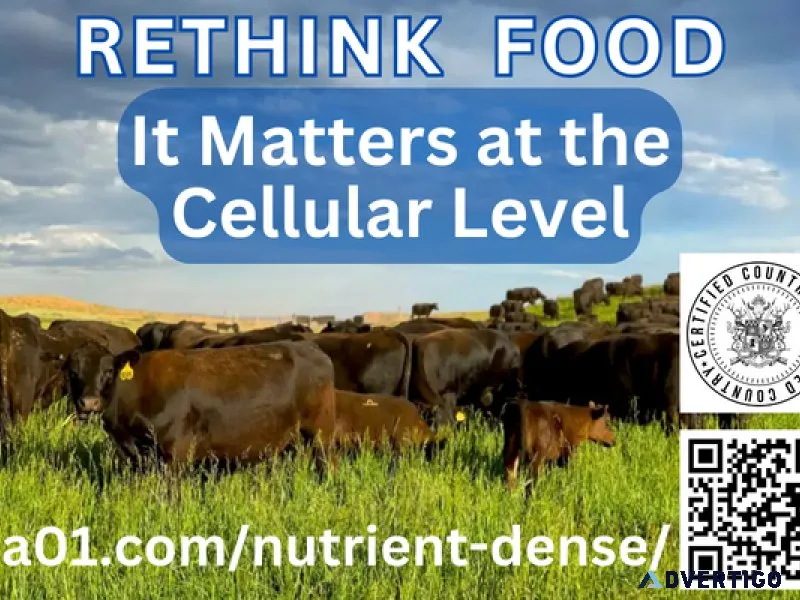 Indulge in Pure Perfection Our Sustainably Raised Grass-Fed Beef