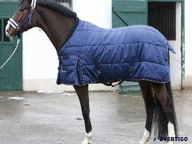 Horse Stable Rugs Supplier in Kanpur