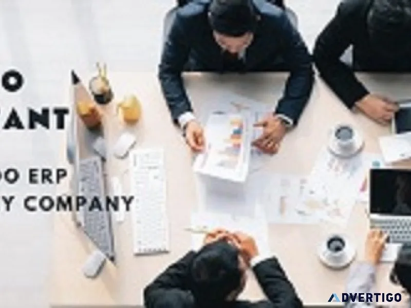 Odoo erp consultants