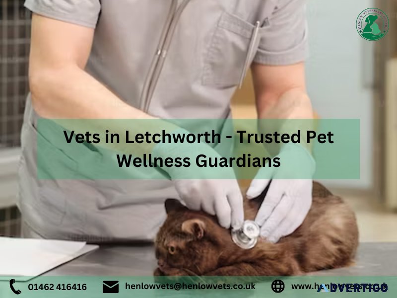 Vets in Letchworth - Trusted Pet Wellness Guardians