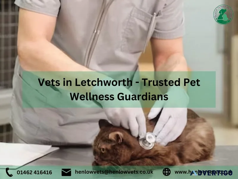 Vets in Letchworth - Trusted Pet Wellness Guardians