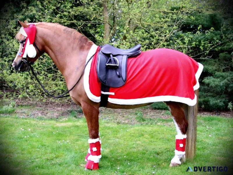 Horse Exercise Sheet Dealer in Kanpur