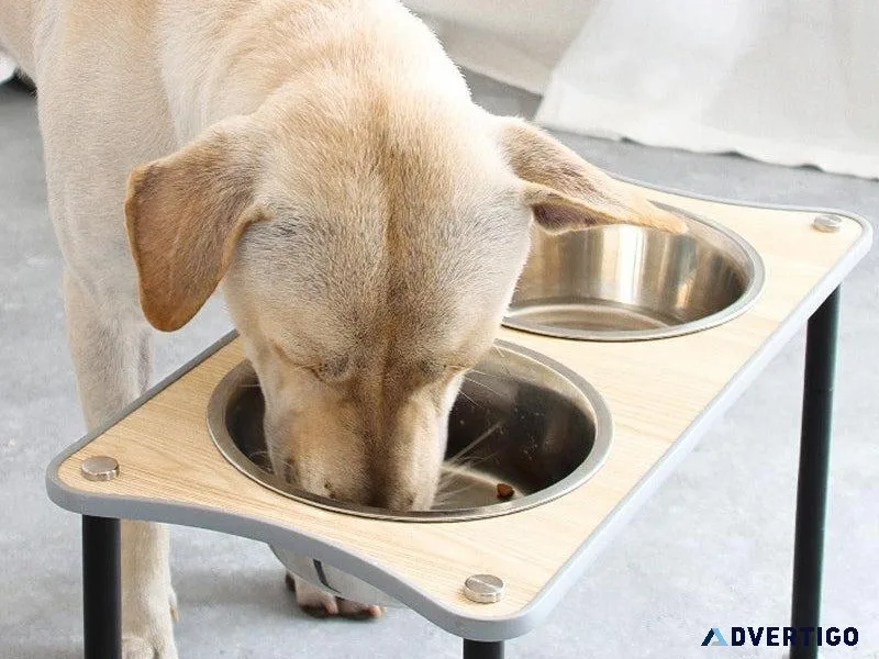 Feedings for Pets Bowl Rack and Large Dog Food Bowl