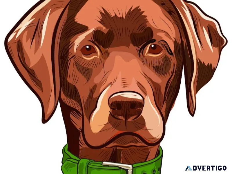 Red Lab Lawn Care LLC.