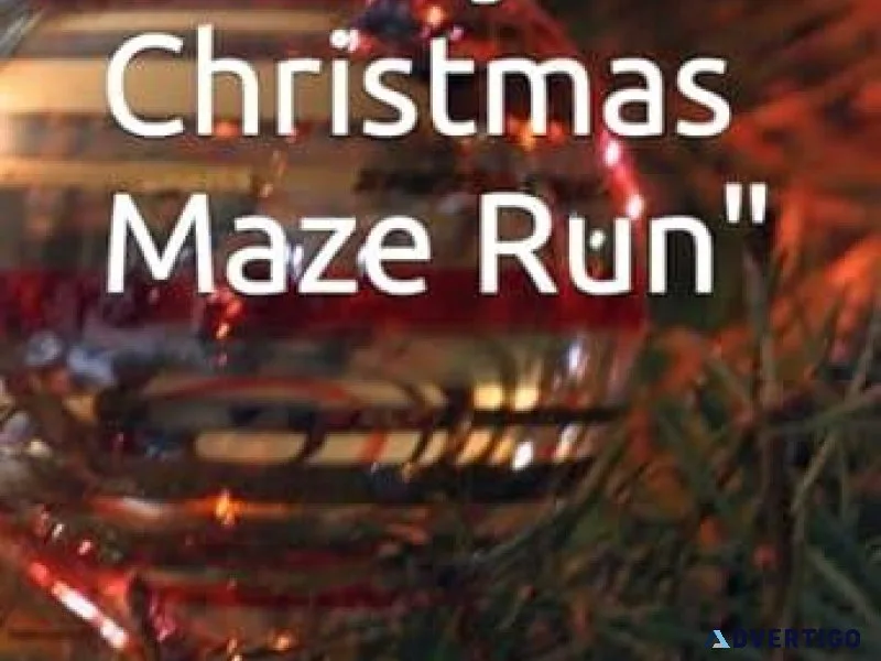 &quotMerry Christmas Maze Run&quot Paperback