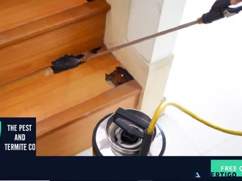 Termite Inspections Gold Coast