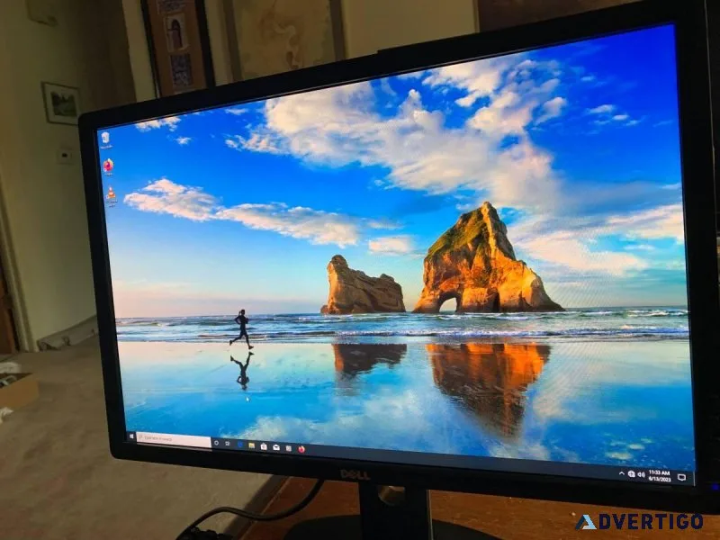 Dell 24&quot Widescreen Monitor