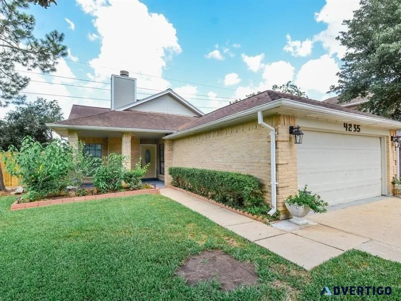 House to rent