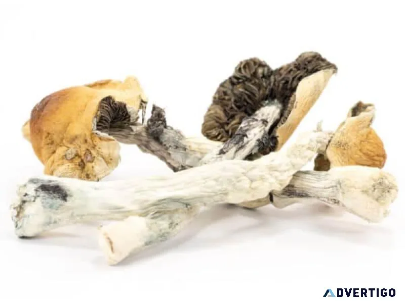 Blue Meanies Mushrooms for sale