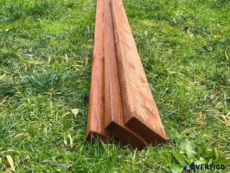 TRY AND STOP US