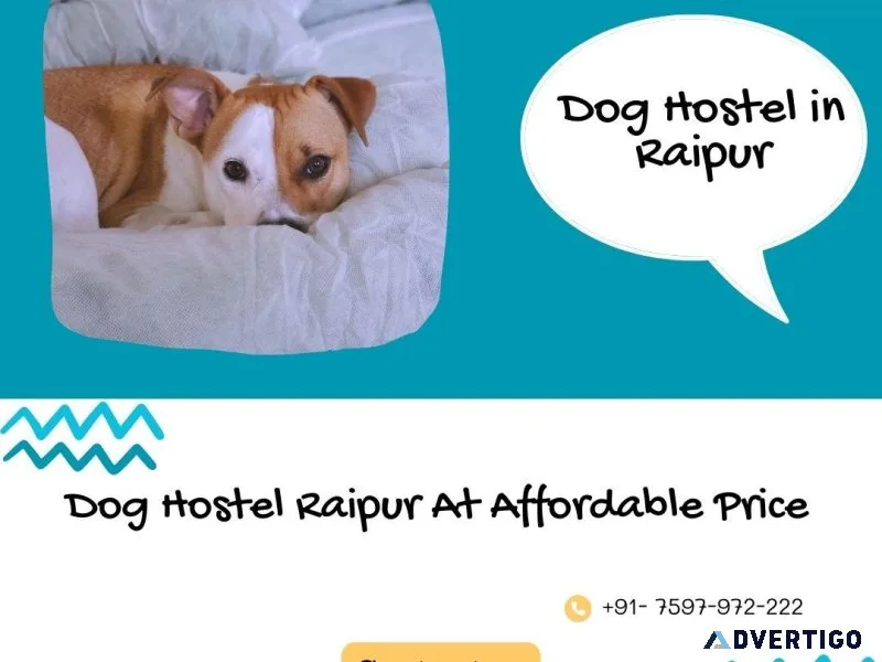 Dog Hostel Raipur At Affordable Price