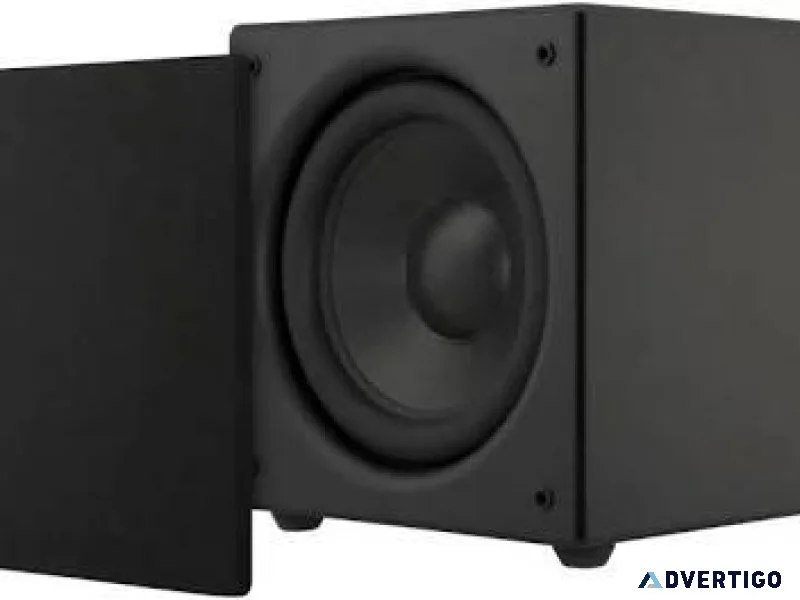 Sonance 10&quot Subwoofer