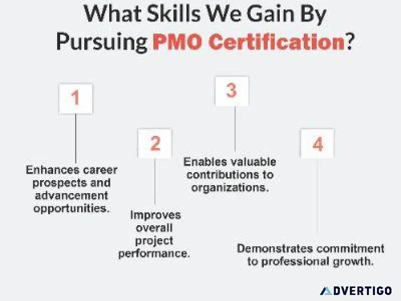 What Skills We Gain By Pursuing PMO Certification