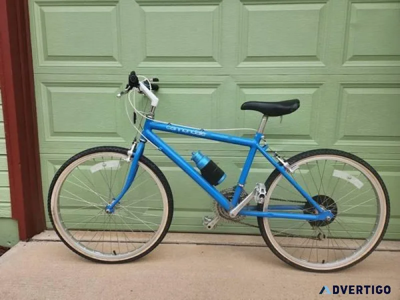 Vintage Canondale Mountain Bike