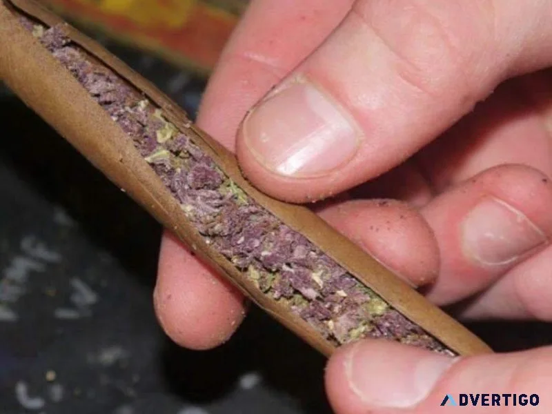 Drug