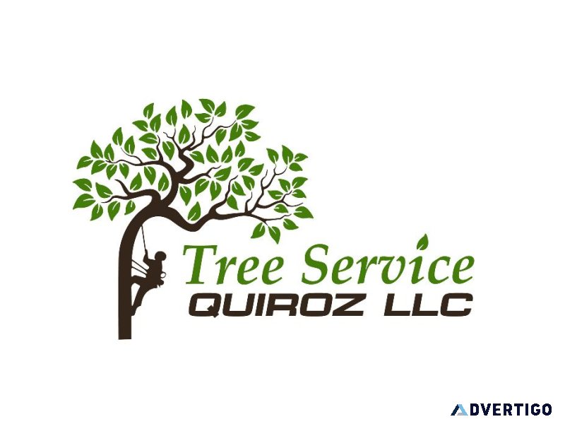 Tree Service Quiroz llc