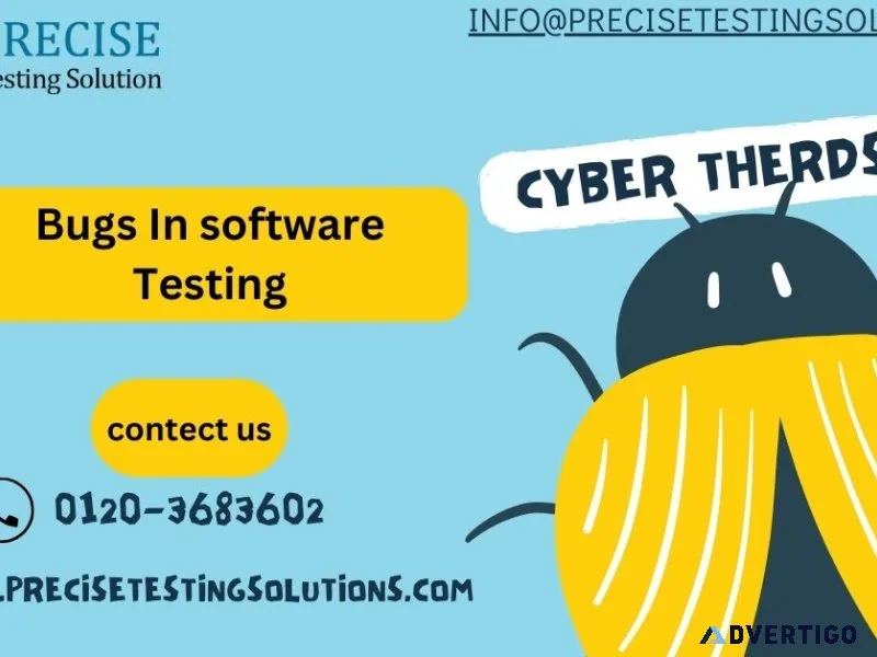 Bugs in software testing