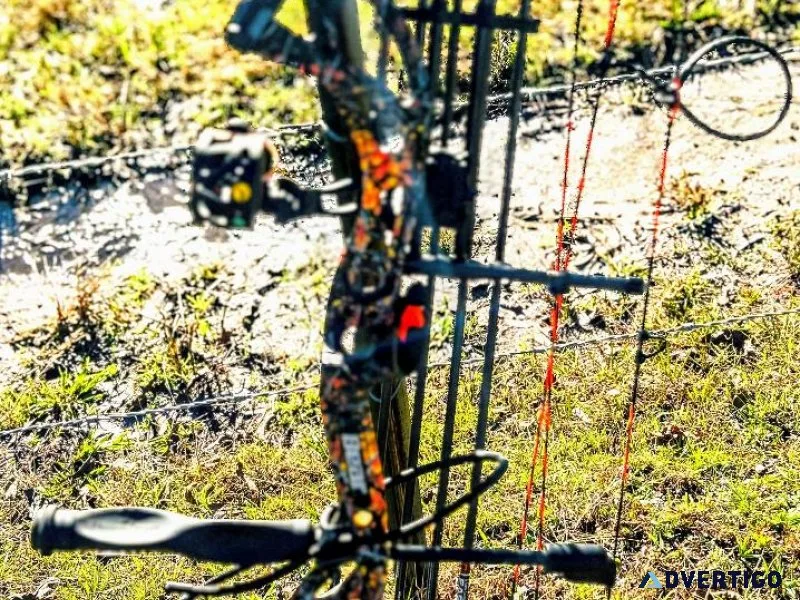 Bear Compound Bow