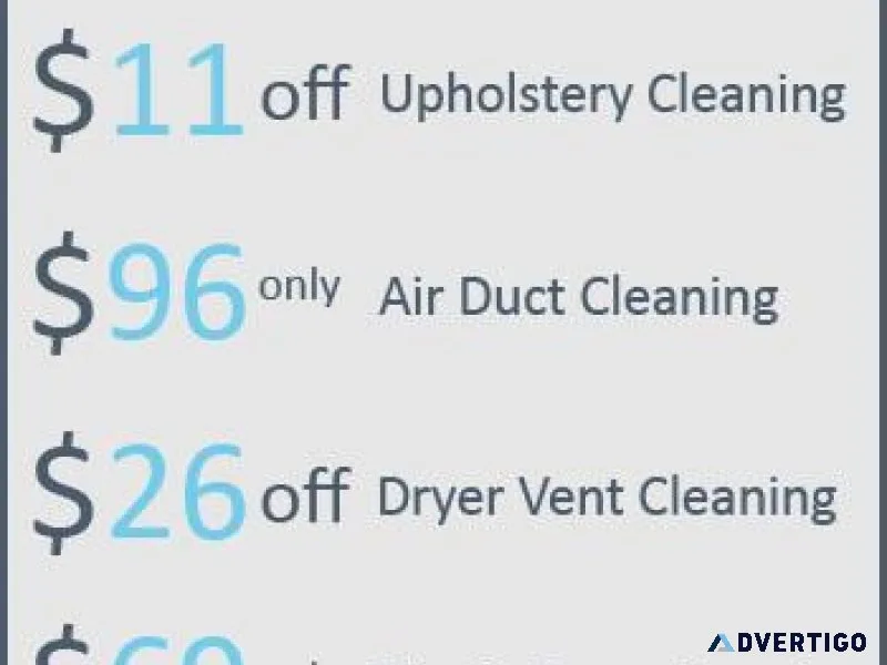 Spring Steam Carpet and Care