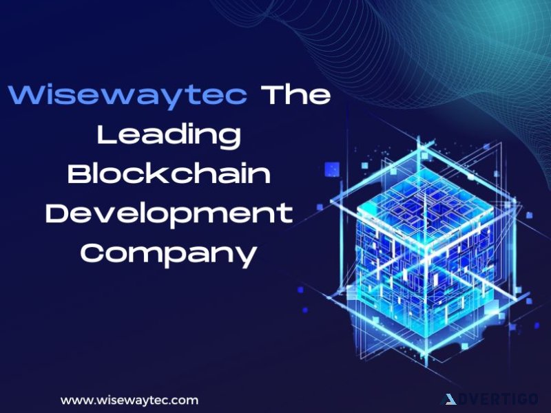 Wisewaytec the leading blockchain development company